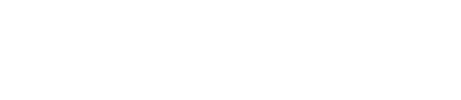 Bold Vision Enterprise
