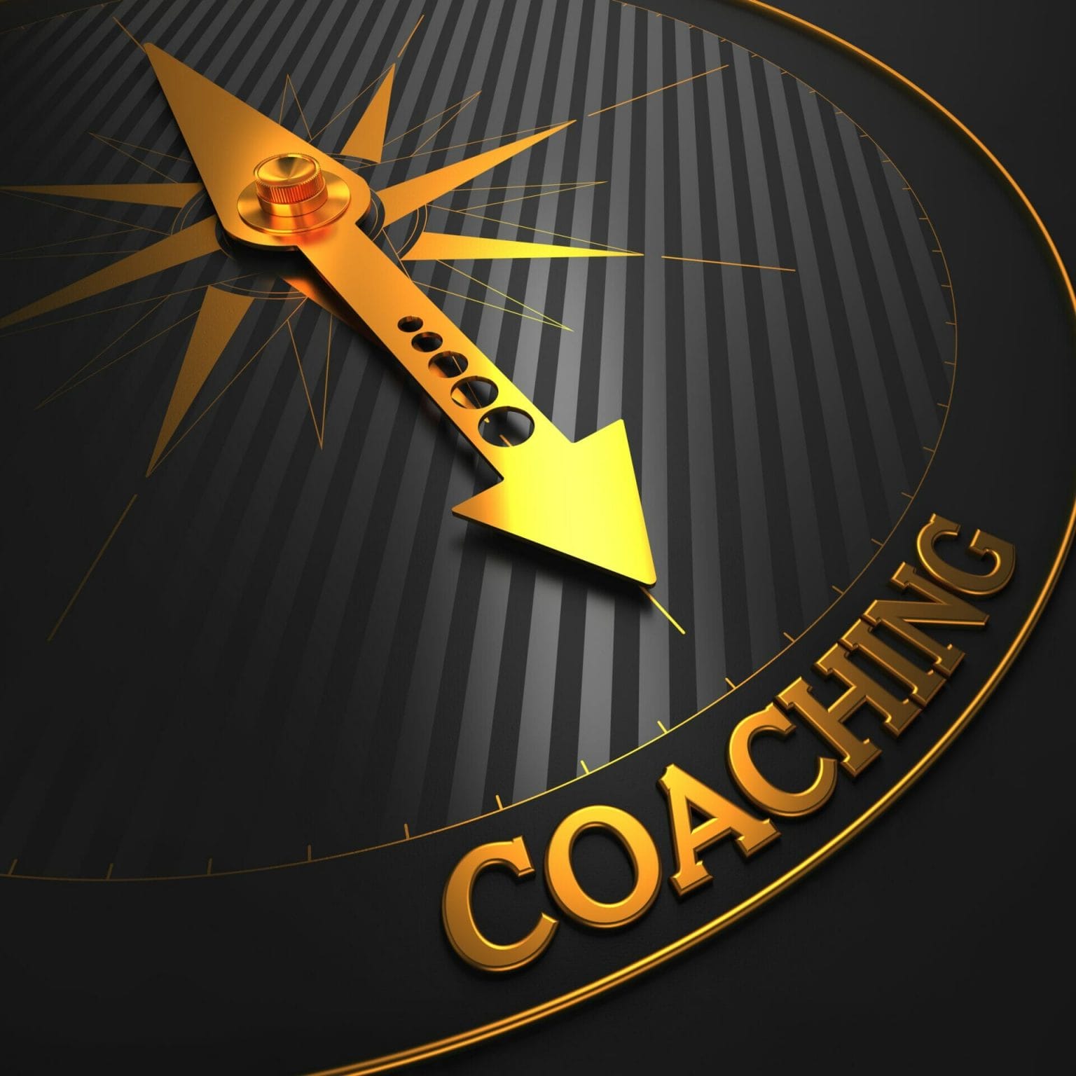 Executive Coaching/Advisory